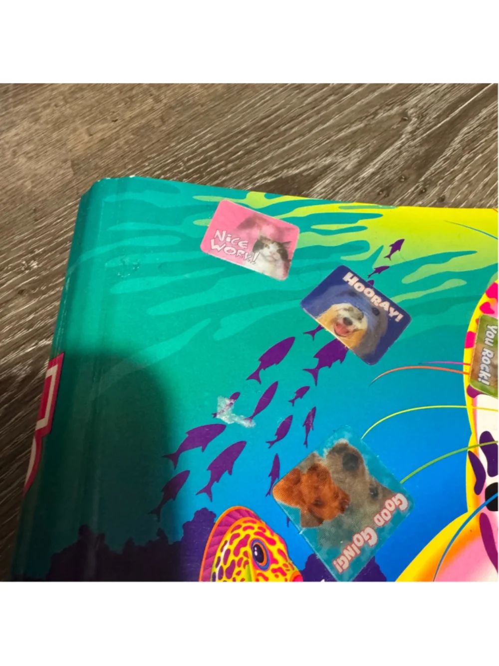 Lisa Frank Rainbow Reef Baby Seal Pup 1 1/2 Inch Metal 3 Ring Binder / Folder